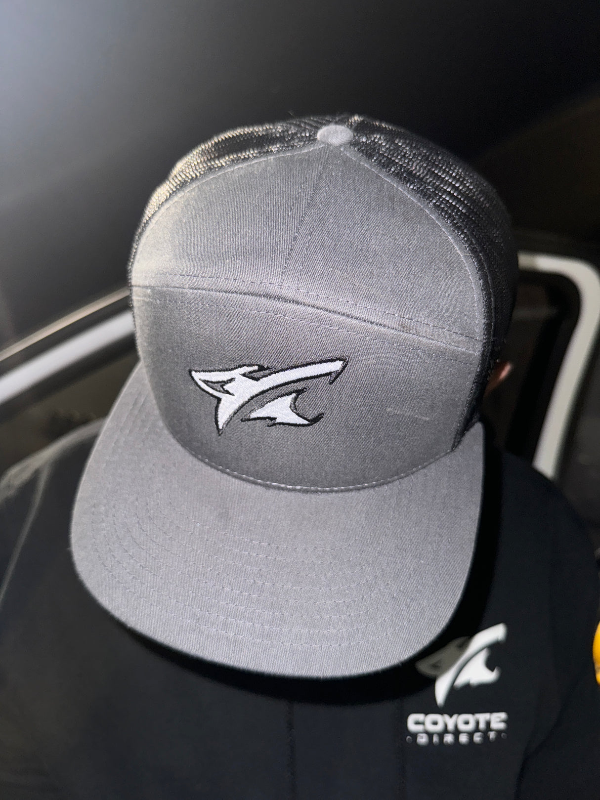 Coyote Direct Snapback