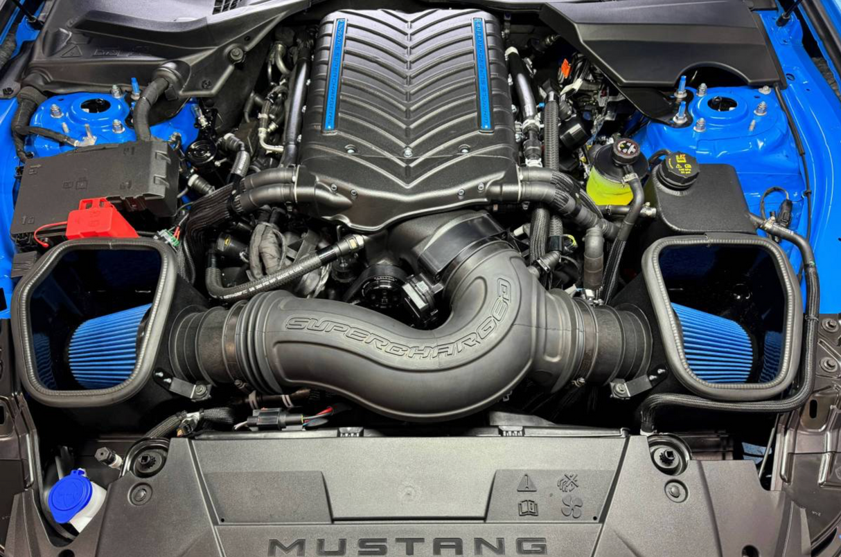 2024-2025 S650 Mustang Open Air Box Kit