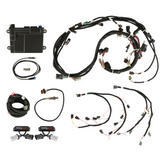 FORD COYOTE TI-VCT CAPABLE HP EFI KIT, NTK O2