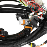 FORD COYOTE TI-VCT CAPABLE HP EFI KIT, NTK O2