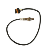 FORD COYOTE TI-VCT CAPABLE HP EFI KIT, NTK O2