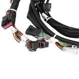 FORD COYOTE TI-VCT CAPABLE HP EFI KIT, NTK O2