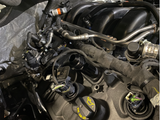 SPE MOTORSPORT 5.0L/5.2 COYOTE -12AN VALVE COVER BREATHER ADAPTER